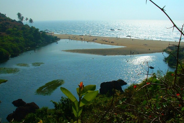 hindistan goa