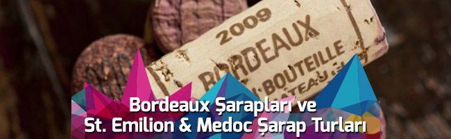 bordeaux gezisi (2)