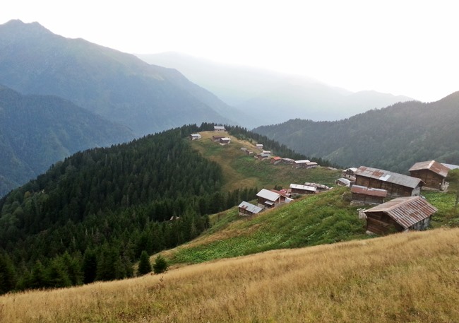 Pokut