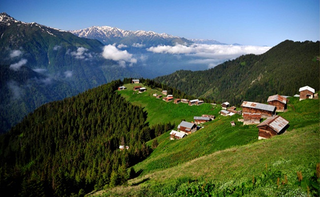Ayder Yayla