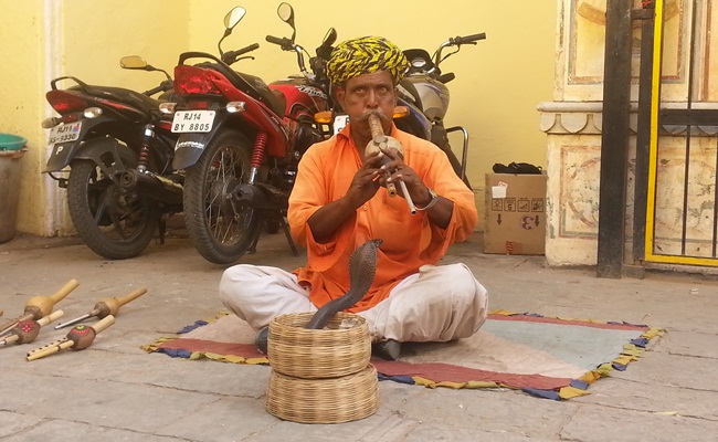 Jaipur halk